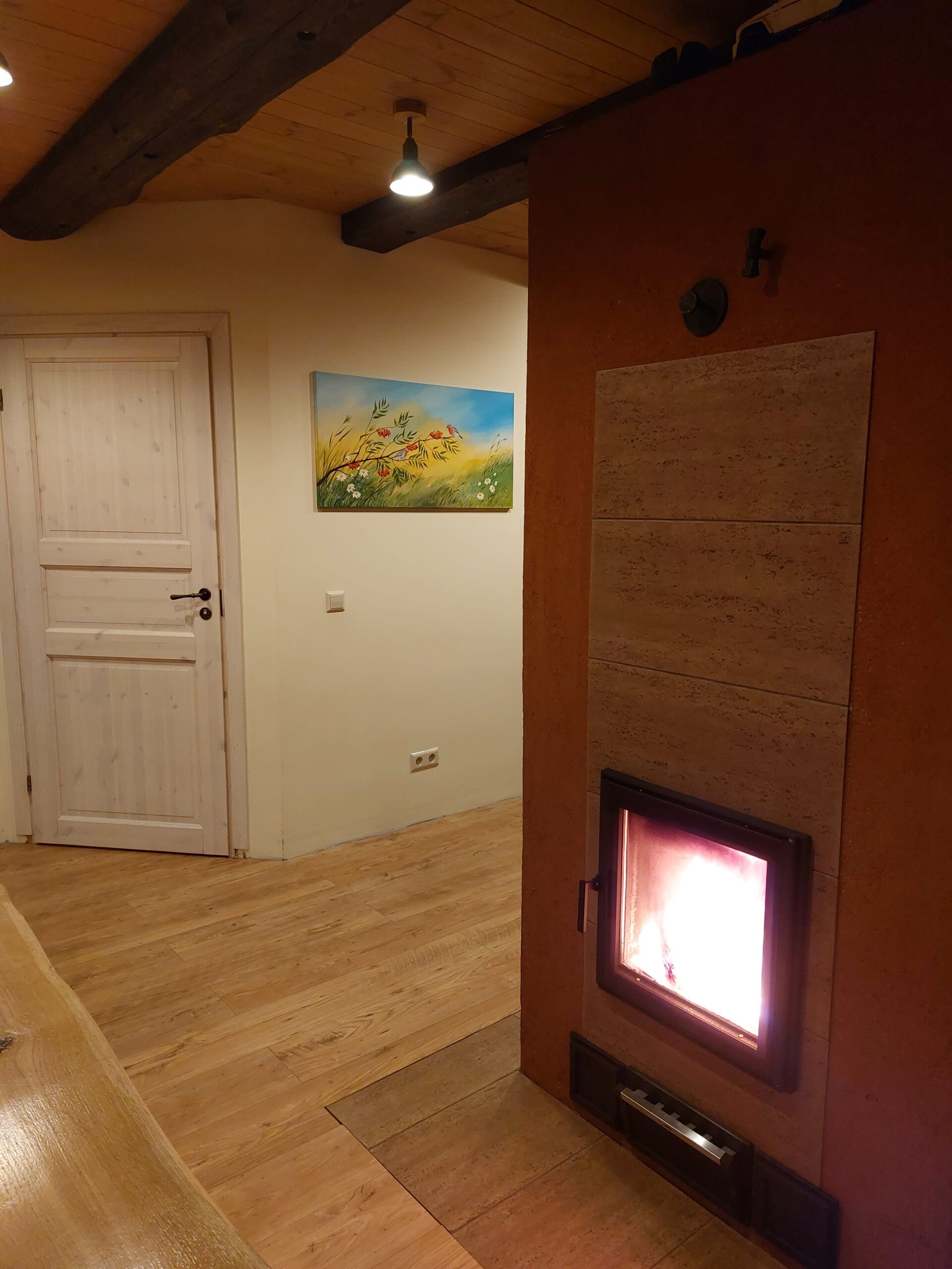 sirgusalu ahja moodulahi